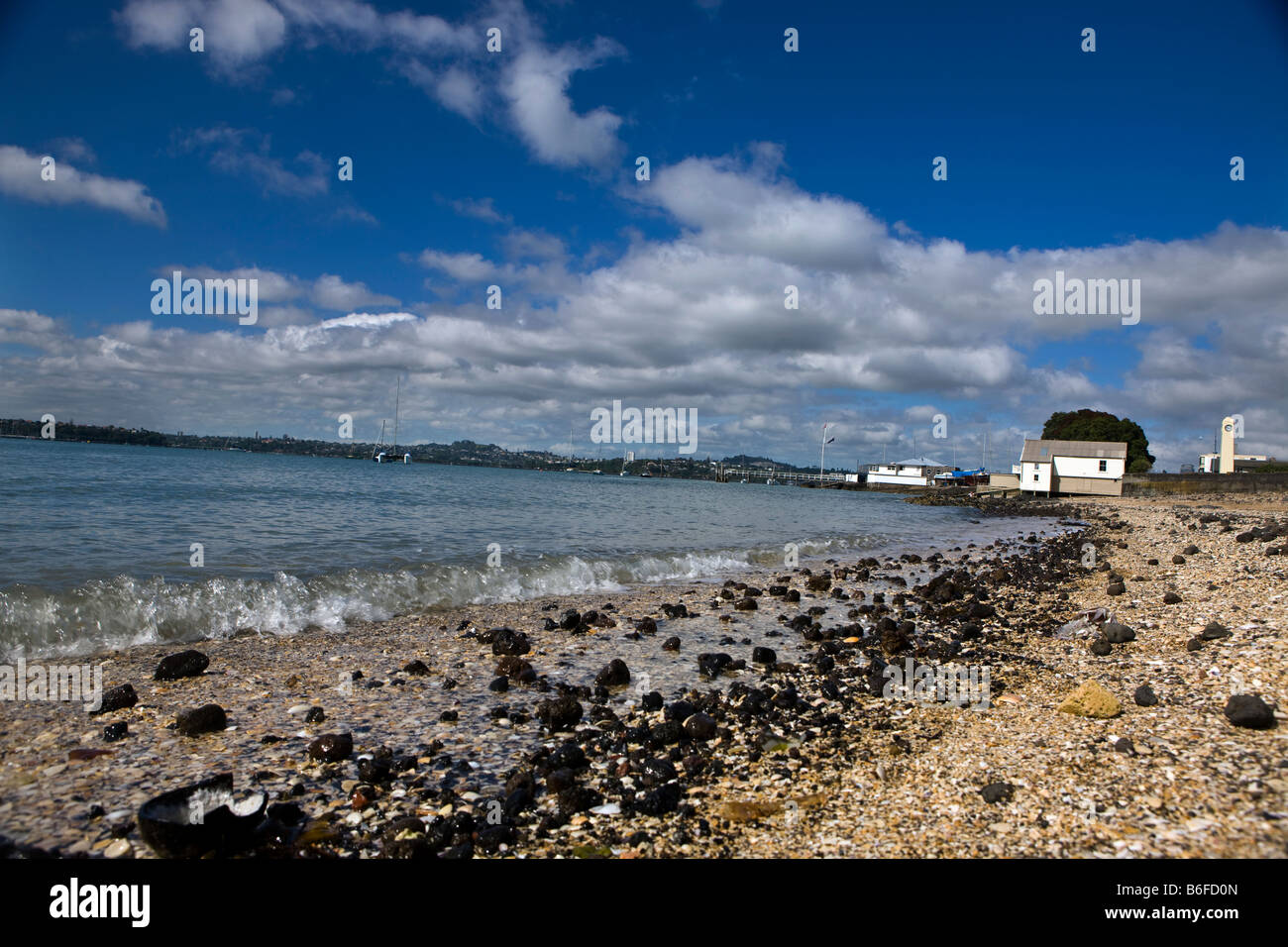 Duders Strand entlang Seite Waitemata Harbour, Devonport, Auckland, Neuseeland Stockfoto