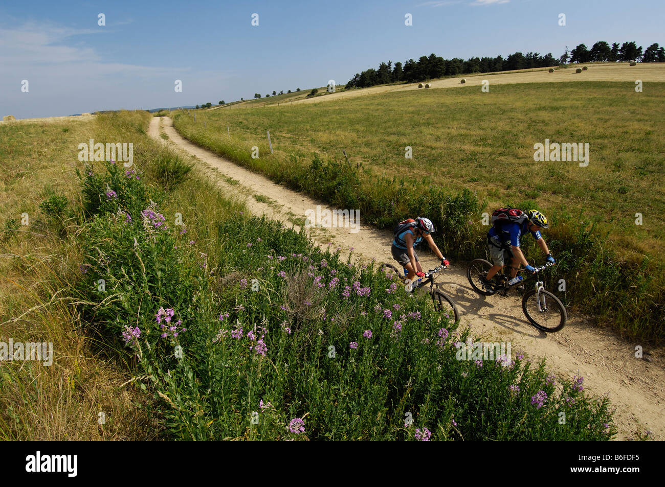 Mountainbiker in der Nähe von Medille, Ardèche, Rhônes-Alpes, Frankreich, Europa Stockfoto