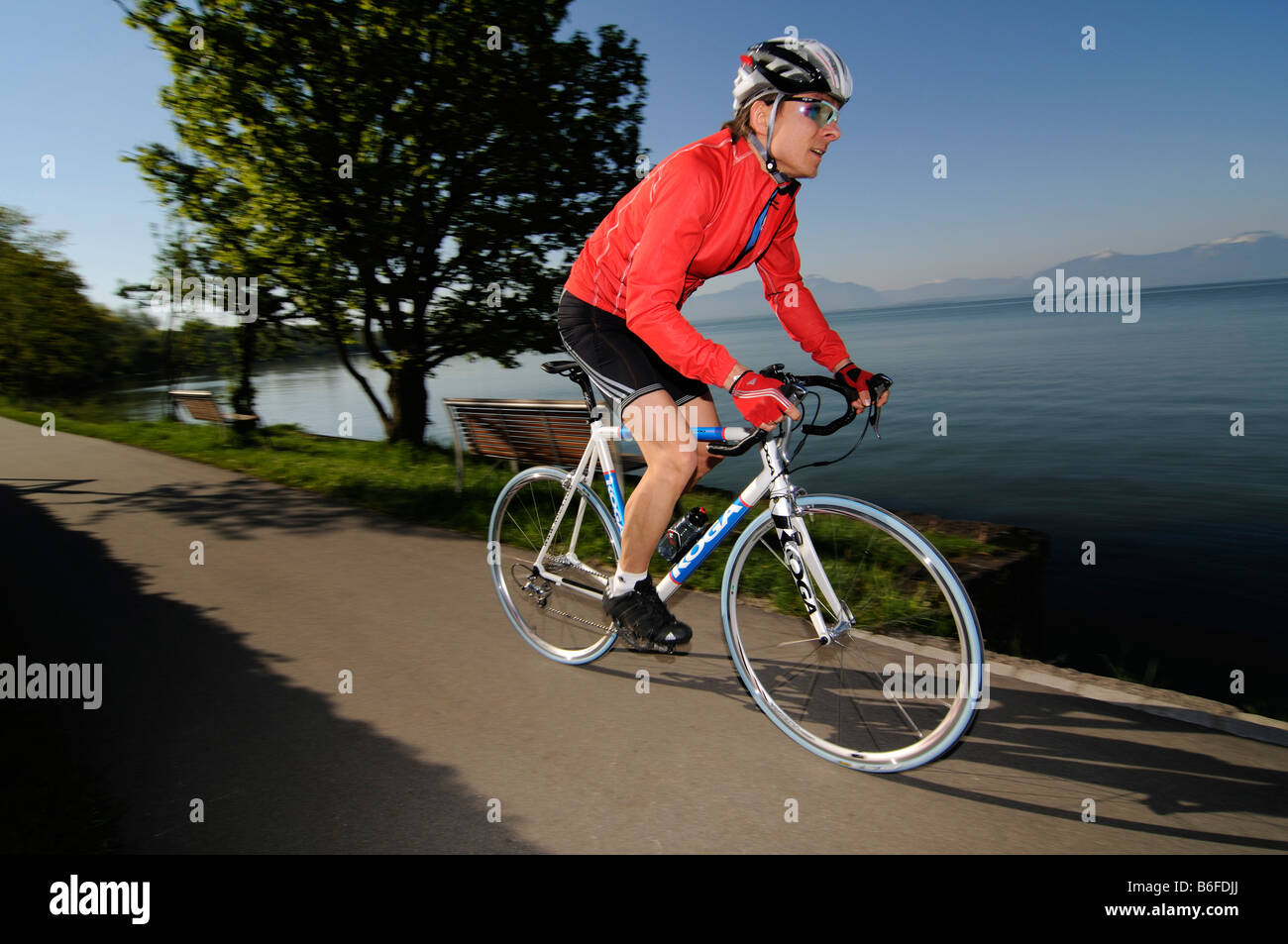 Radrennfahrer bei Seebruck, See Chiemsee, Chiemgau, Bayern, Deutschland, Europa Stockfoto