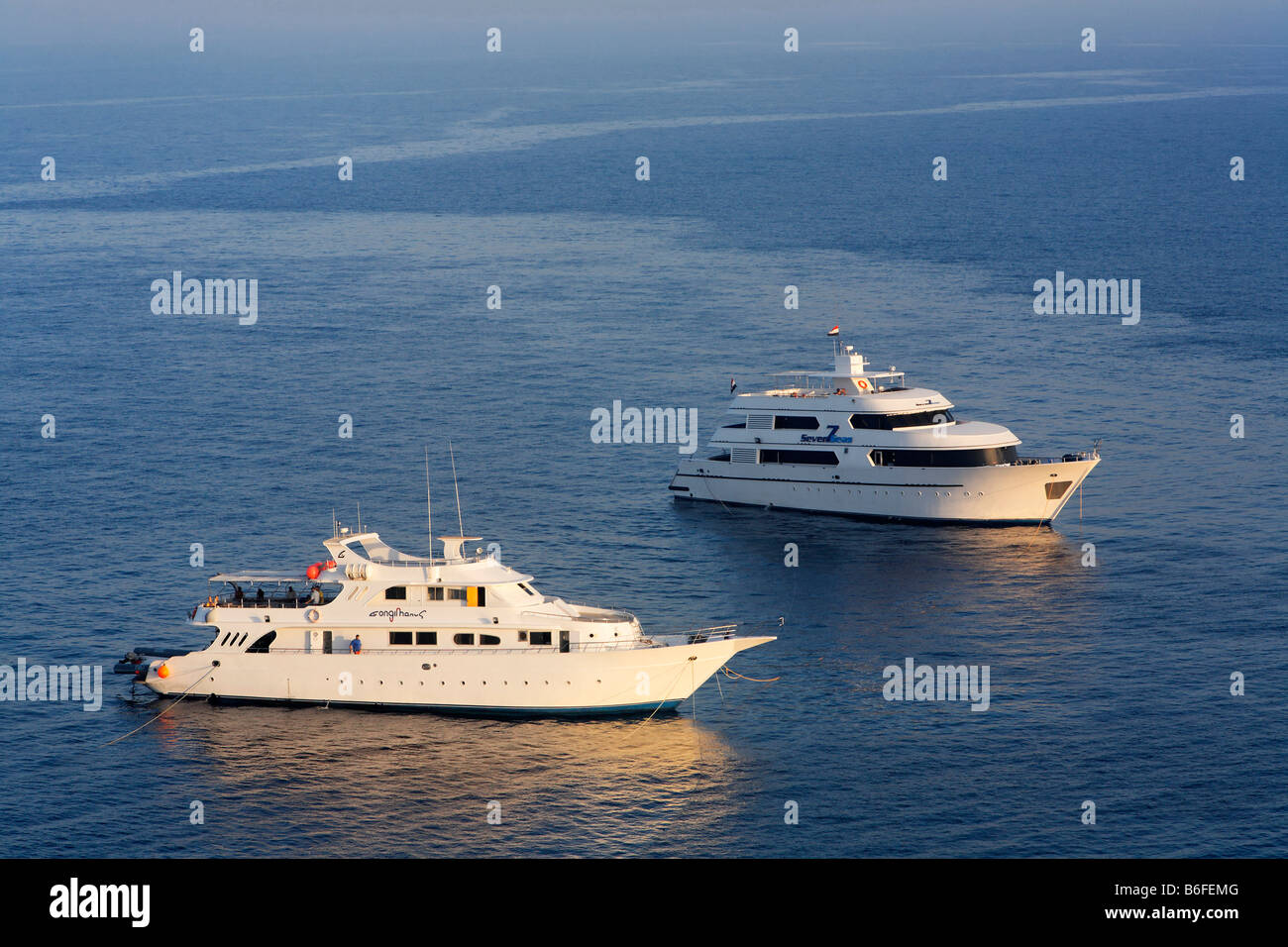 Moderne ägyptische Tauchboote am Roten Meer von den Brother Islands oder El Akhawein, Ägypten, Rotes Meer, Afrika Stockfoto