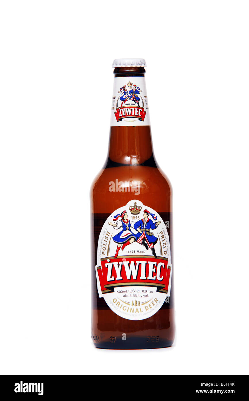 Polnische Bier Zywiec Stockfoto