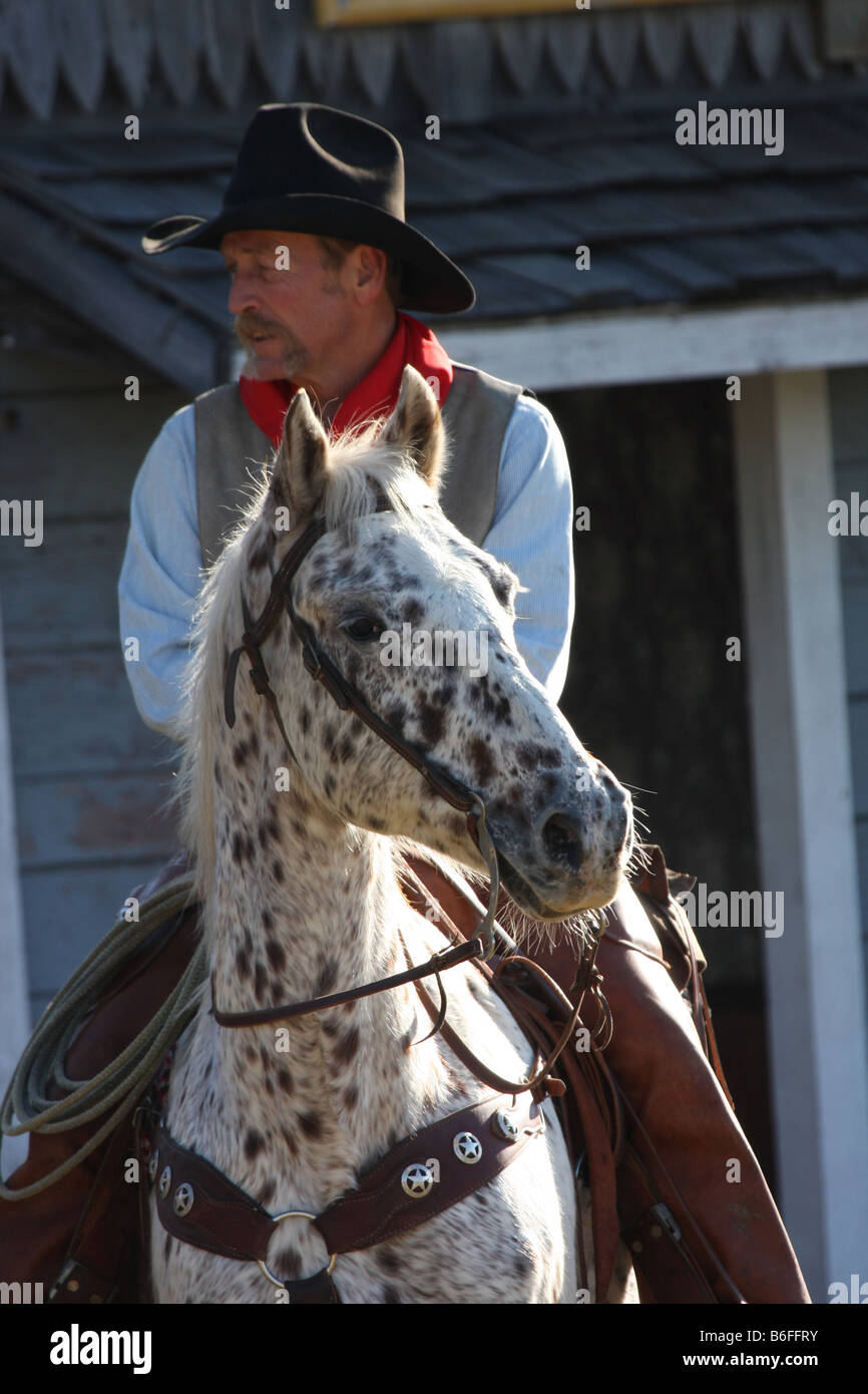 Ein Cowboy reitet eine Appaloosa Pony Pferde Nase im Fokus Stockfotografie  - Alamy