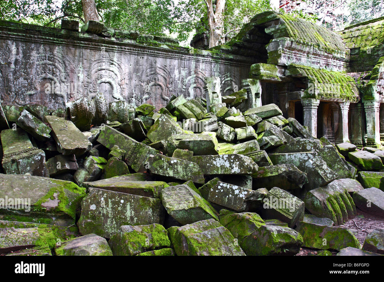 Ruinen der Tempel Ta Prohm, Angkor Wat, Kambodscha Stockfoto