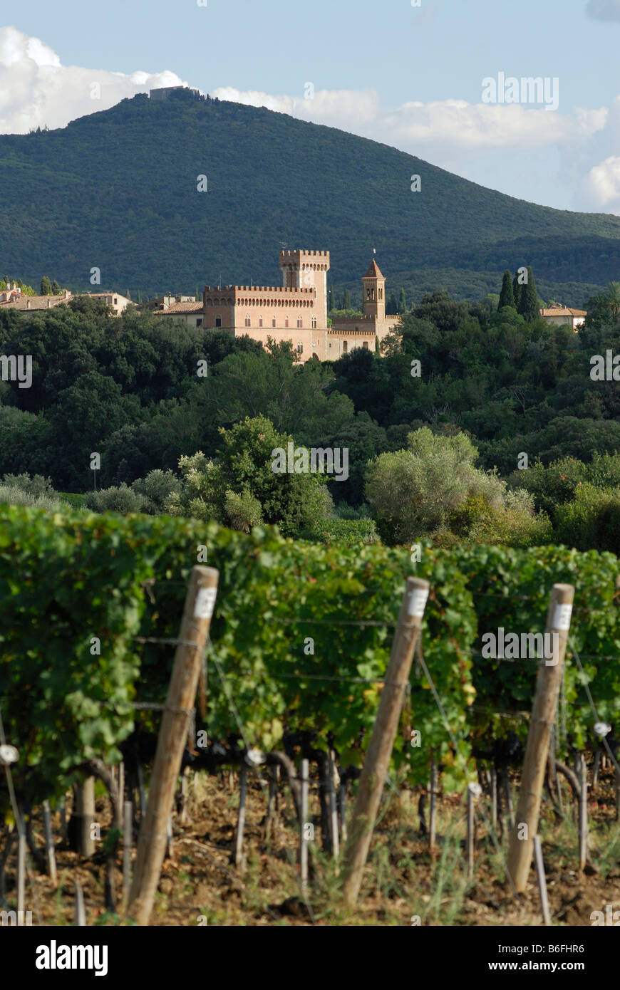 Bolgheri Toskana Italien umgeben von Weinbergen der kleinen Stadt von Bolgheri Stockfoto