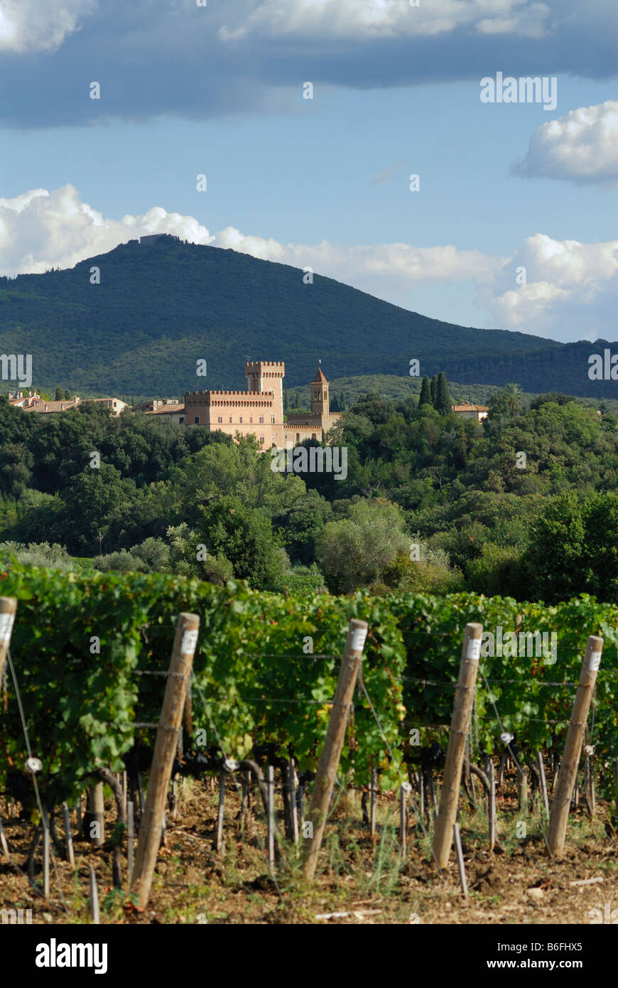 Bolgheri Toskana Italien umgeben von Weinbergen der kleinen Stadt von Bolgheri Stockfoto