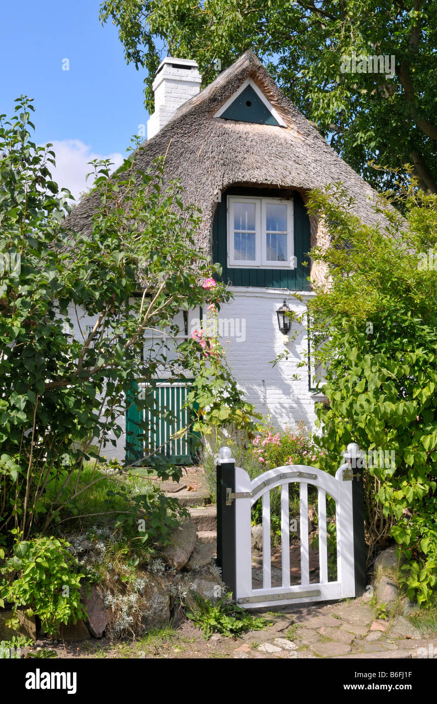 Reetdach Haus In Sieseby Schlei Schleswig Holstein Deutschland