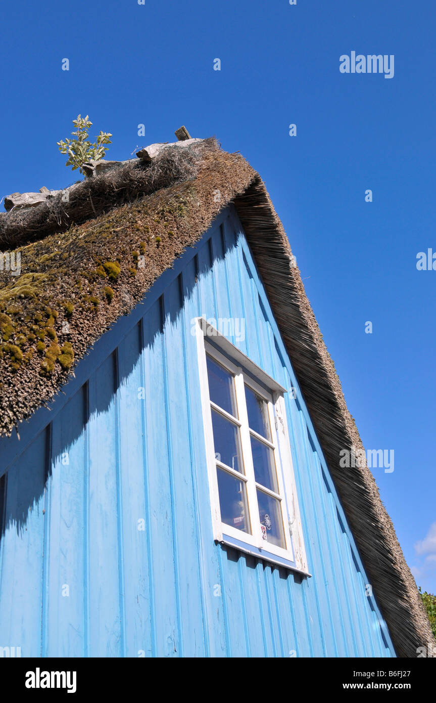 Reetdach-Haus in Maasholm, Schleswig-Holstein, Deutschland, Europa Stockfoto