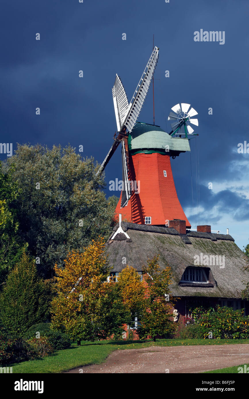 Historische Windmühle im holländischen Stil, Reitbrook Mill, Vierlande, Marschlande, Hamburg, Deutschland, Europa Stockfoto