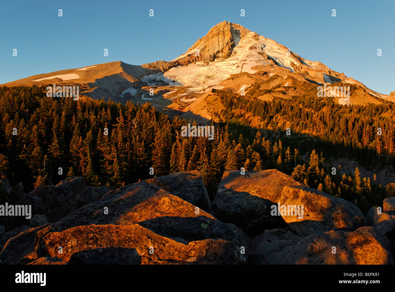 Vulkan Mount Hood, Ostflanke, Kaskade-Strecke, Oregon, USA Stockfoto