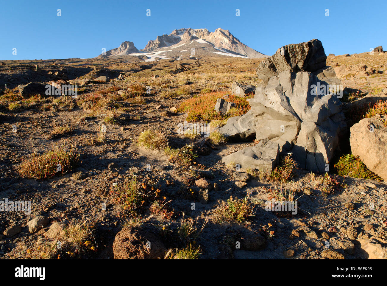 Lava-Bombe an der Südflanke des Vulkans Mount Hood, Kaskade-Strecke, Oregon, USA Stockfoto