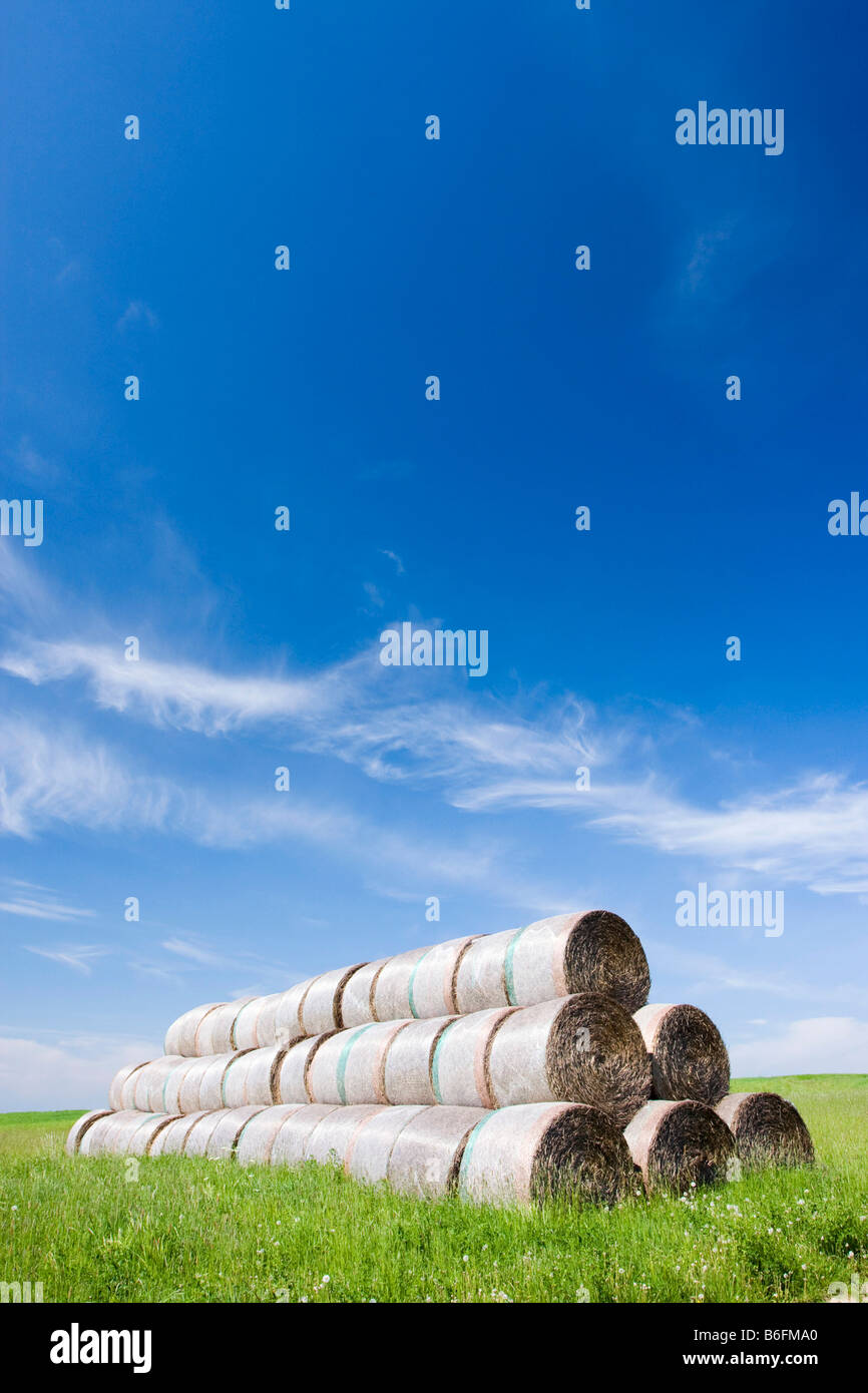 Strohballen Stockfoto