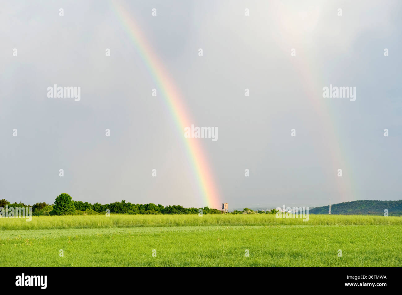 Doppelter Regenbogen über grüne Felder, Niederösterreich, Europa Stockfoto