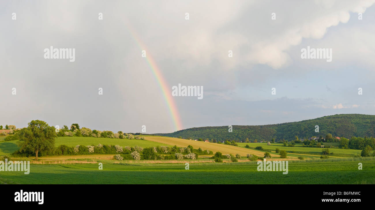 Regenbogen über grüne Felder, Niederösterreich, Europa Stockfoto