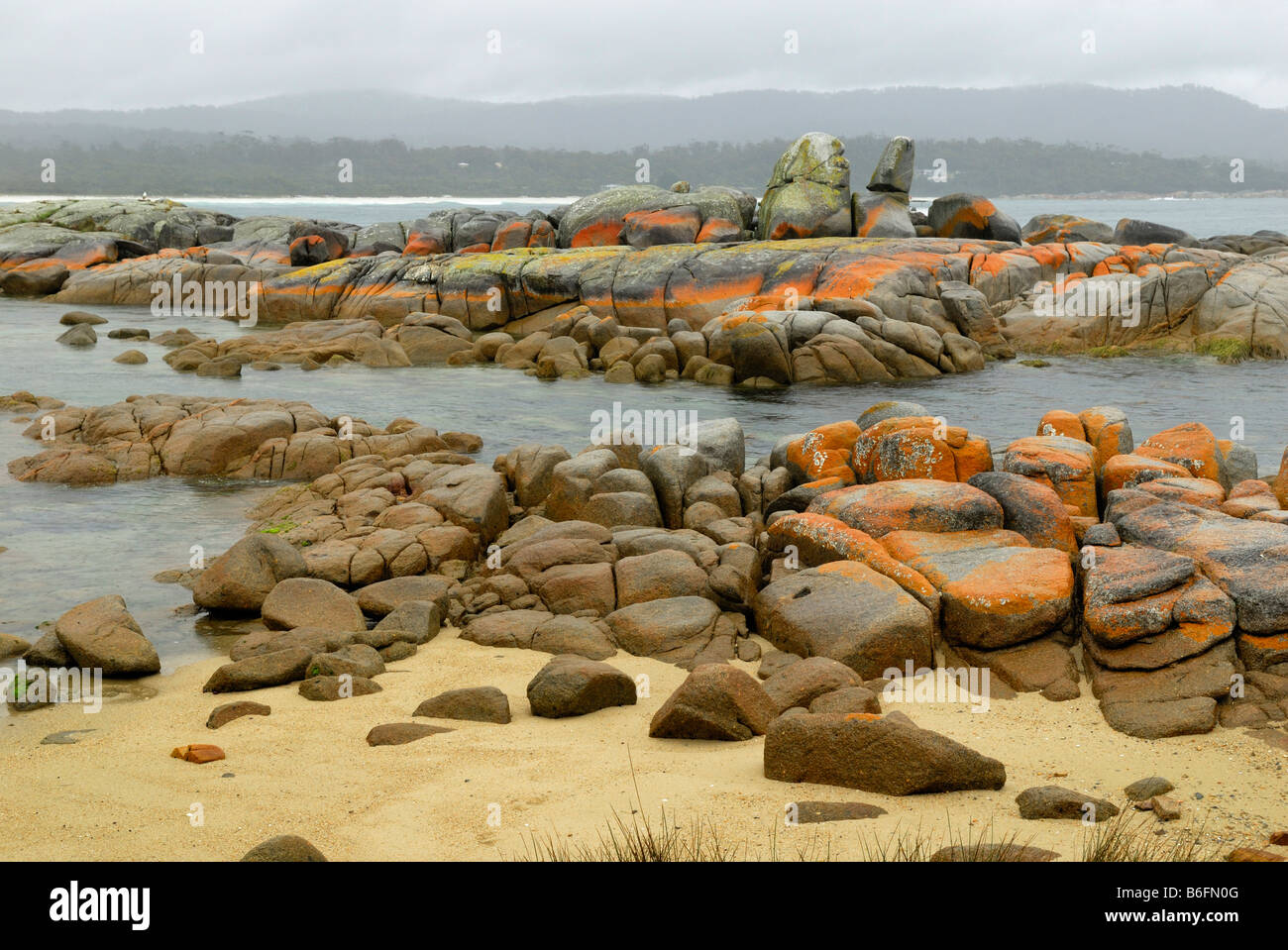 Granitfelsen bewachsen mit Flechten in die Bay of Fires in der Nähe von Regen, Tasmanien, Australien Stockfoto