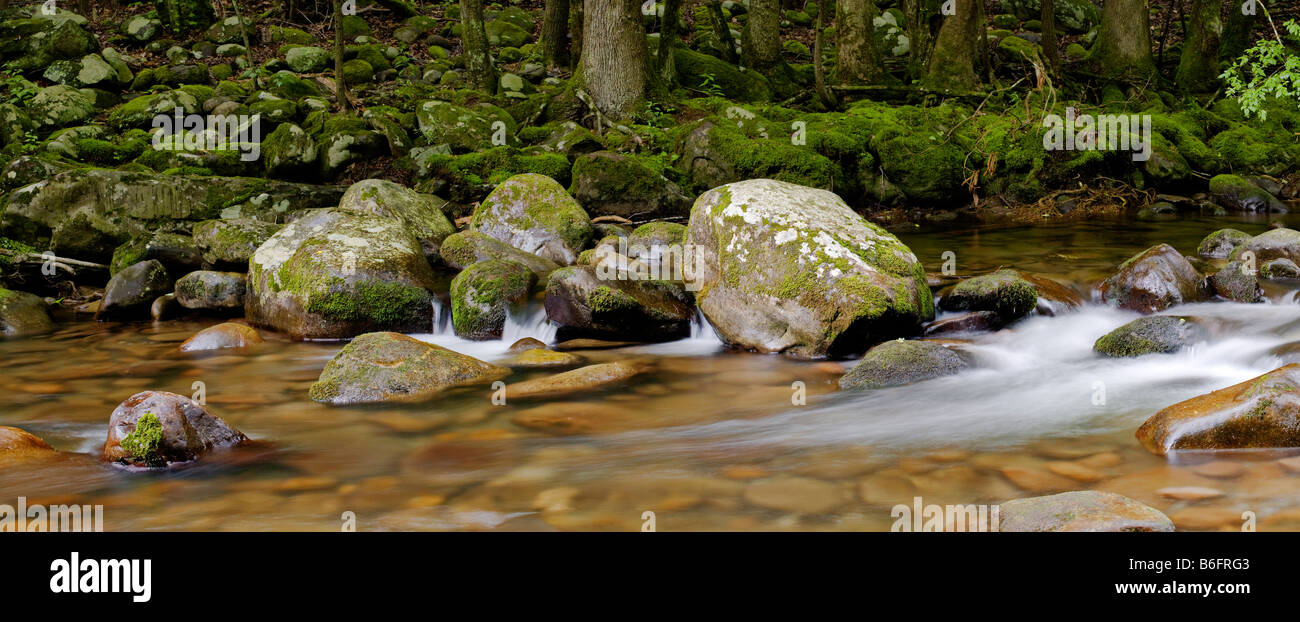 "Nur das behindert Stream singt." sugarlands Valley Trail, Great Smoky Mountains National Park, Tennessee, United States Stockfoto