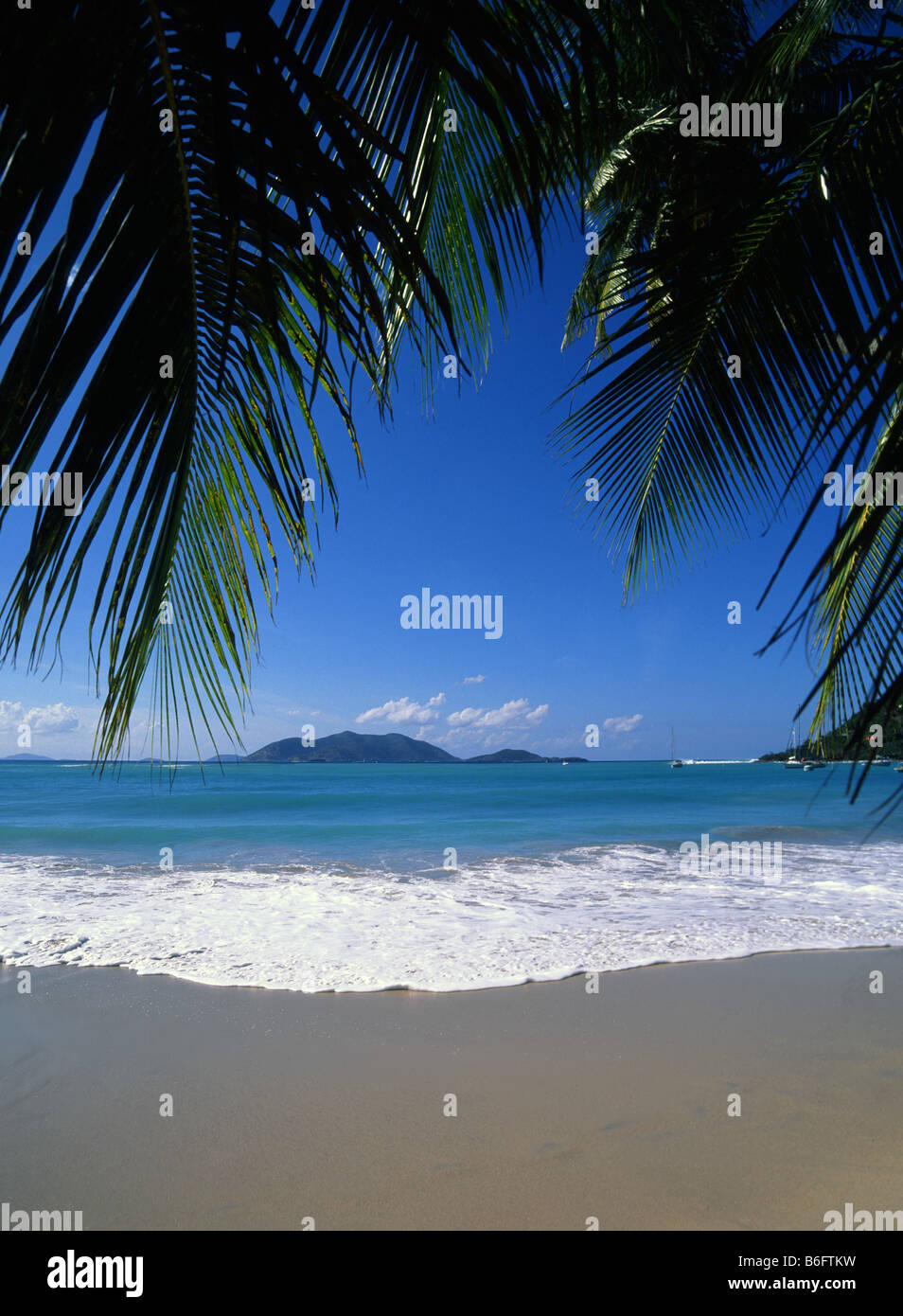 Palmenblättern Überhang feinen sauberen Sandstrand urlaub Strand mit Surf von türkisblauem Meer tropische Cane Garden Bay Beach British Virgin Islands gewaschen Stockfoto