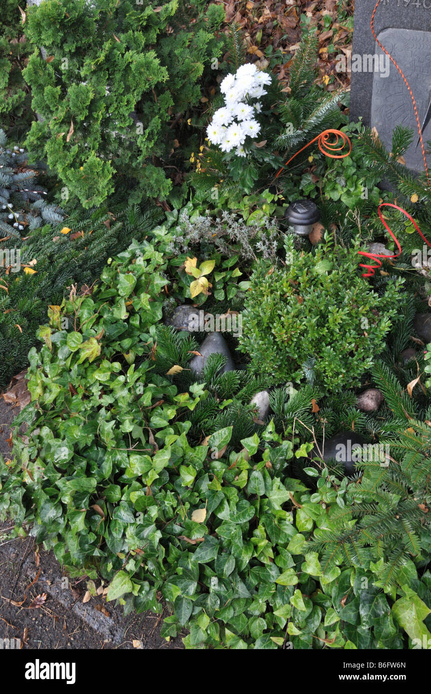 Grab Dekoration mit immergrünen Pflanzen Stockfoto
