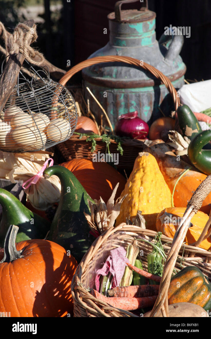 Einem Land Wagen voll mit Gemüse aus der Herbst-Ernte Stockfoto