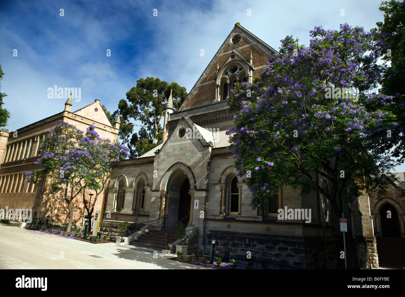 Ältestenhalle, Universität von Adelaide, Adelaide, South Australia, Australien Stockfoto