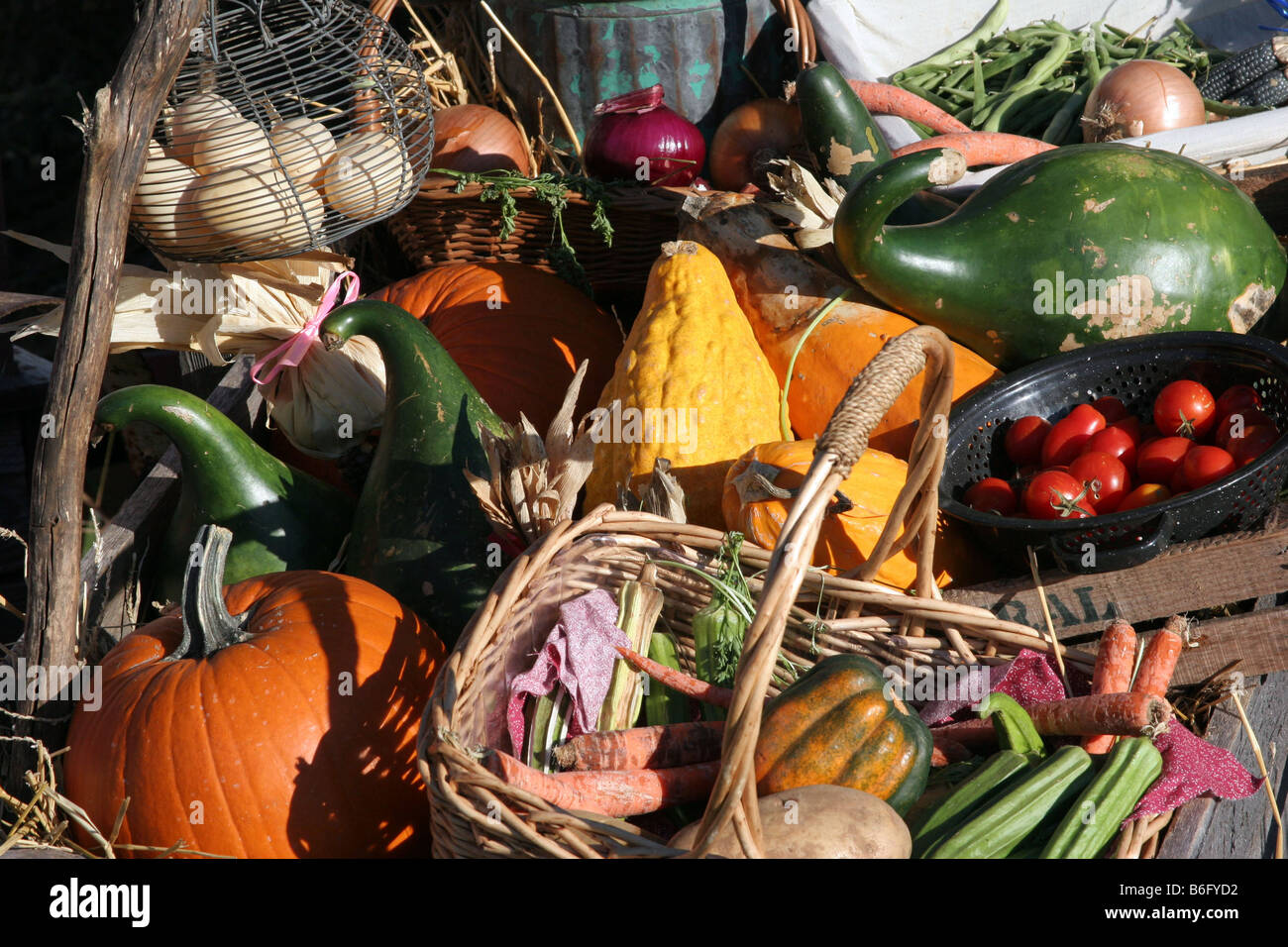 Einem Land Wagen voll mit Gemüse aus der Herbst-Ernte Stockfoto