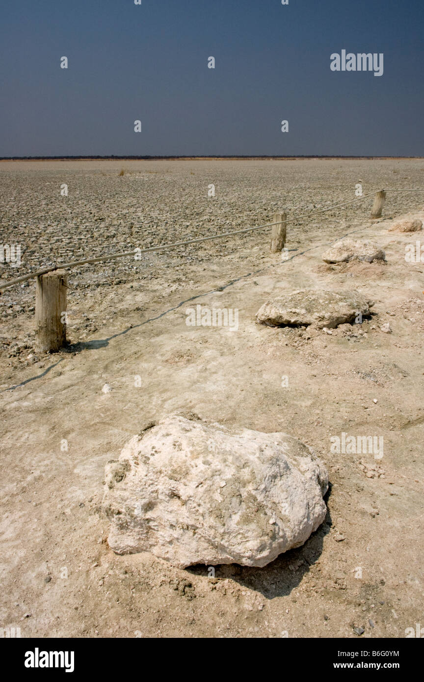 Der Etosha-Pfanne, Namibia ist eine abflusslose Salzpfanne Stockfoto