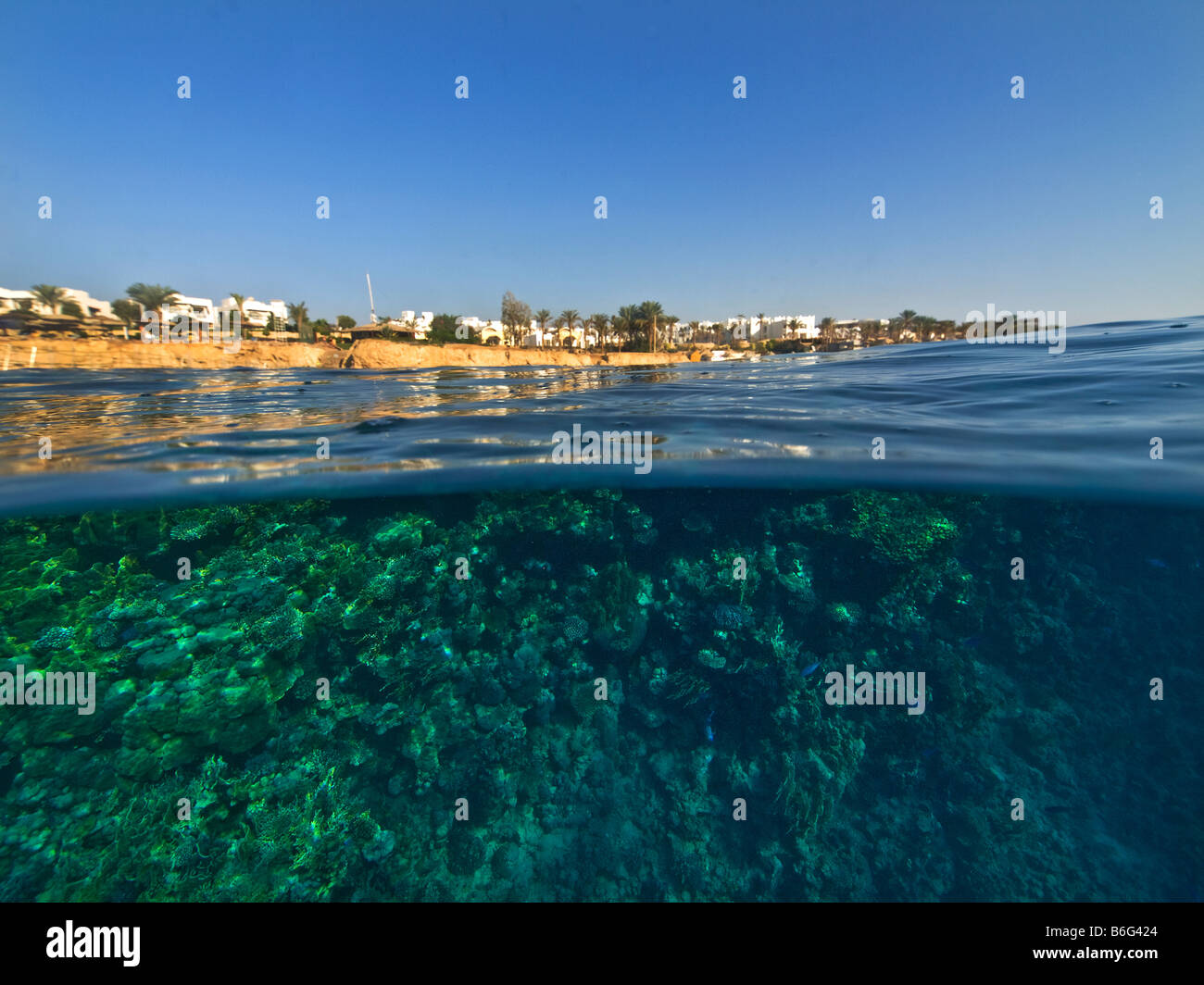 Waterworld, halb und halb Bild Wasserlinie unter Oberfläche, über oben nach unten Riff Riff Sharm El Sheikh Ägypten Om El Sid Plateau Küste l Stockfoto