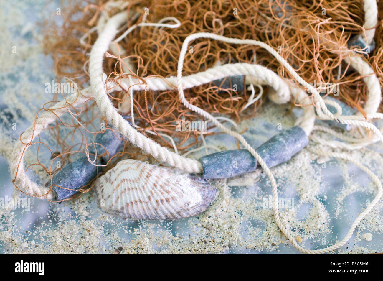 Nahaufnahme von Fischnetz, Seil, Muscheln und Sand. Stockfoto