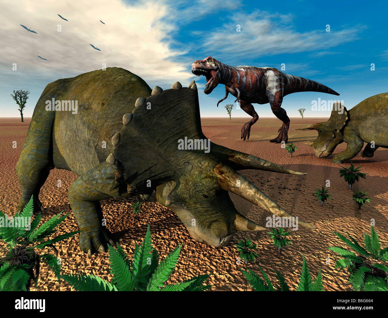 Ein T-Rex Dinosaurier Triceratops Dinosaurier begegnen Stockfoto