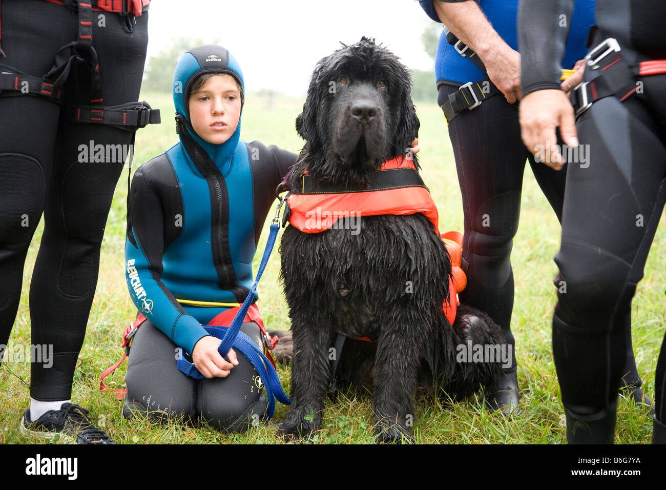 Neufundland Rettungshund Ausbildung zum Sprung aus dem Helikopter retten ertrinken Menschen Italien Stockfoto