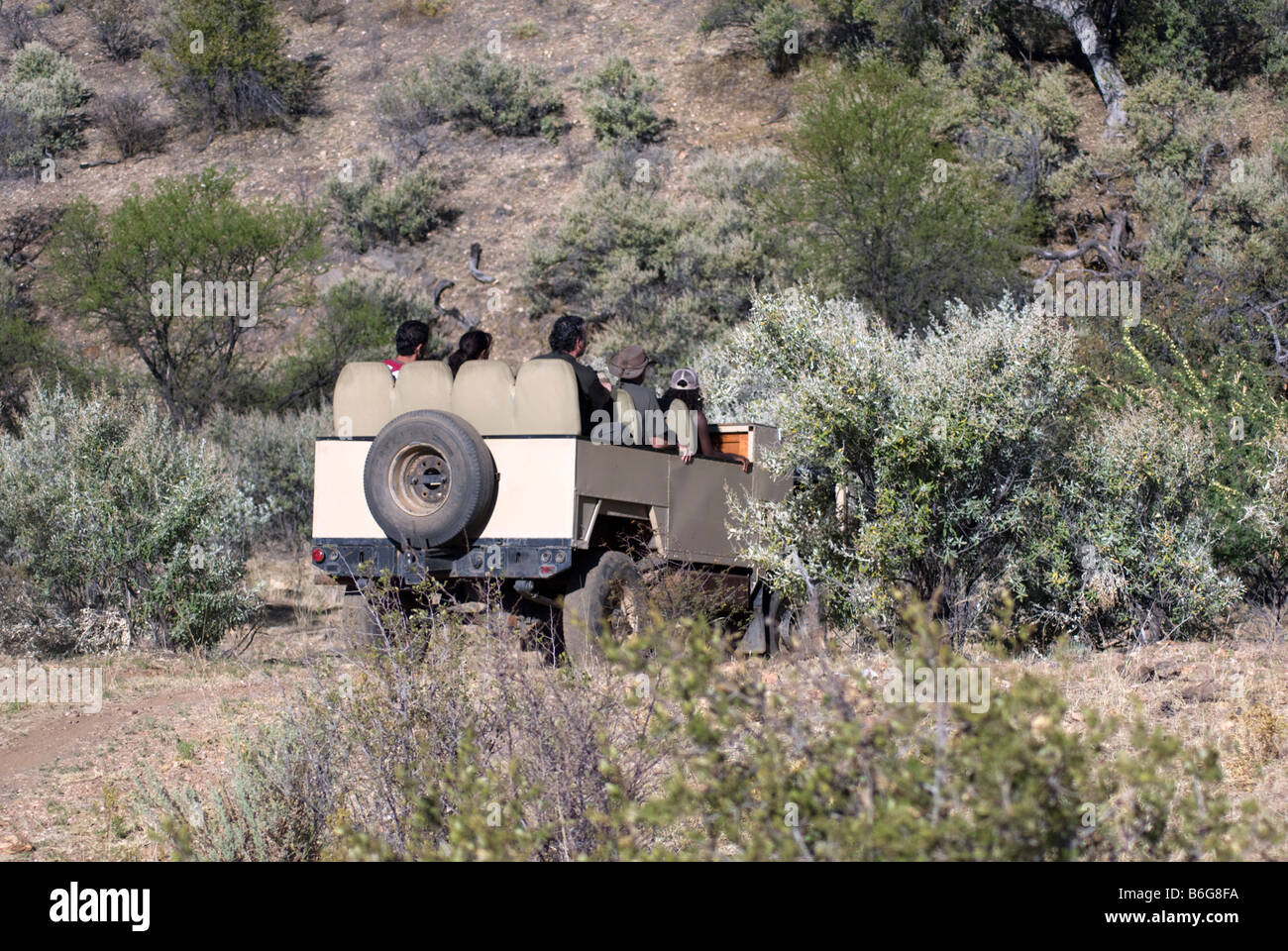 Landrover nimmt Besucher mit auf die große Katze-Erfahrung in der Amani Lodge, Namibia Stockfoto