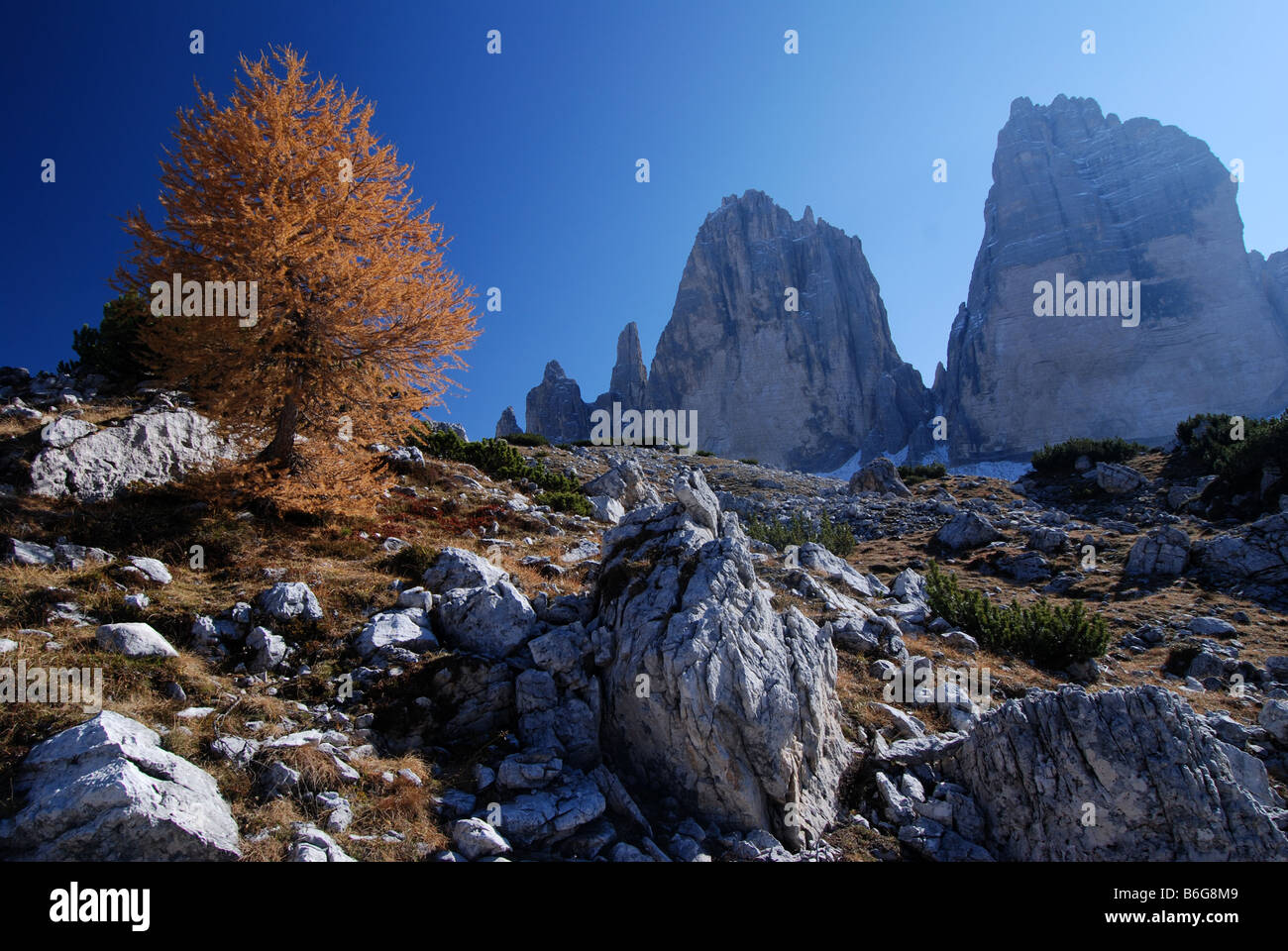 Tre Cime di Lavaredo Dolomiten Italien Stockfoto