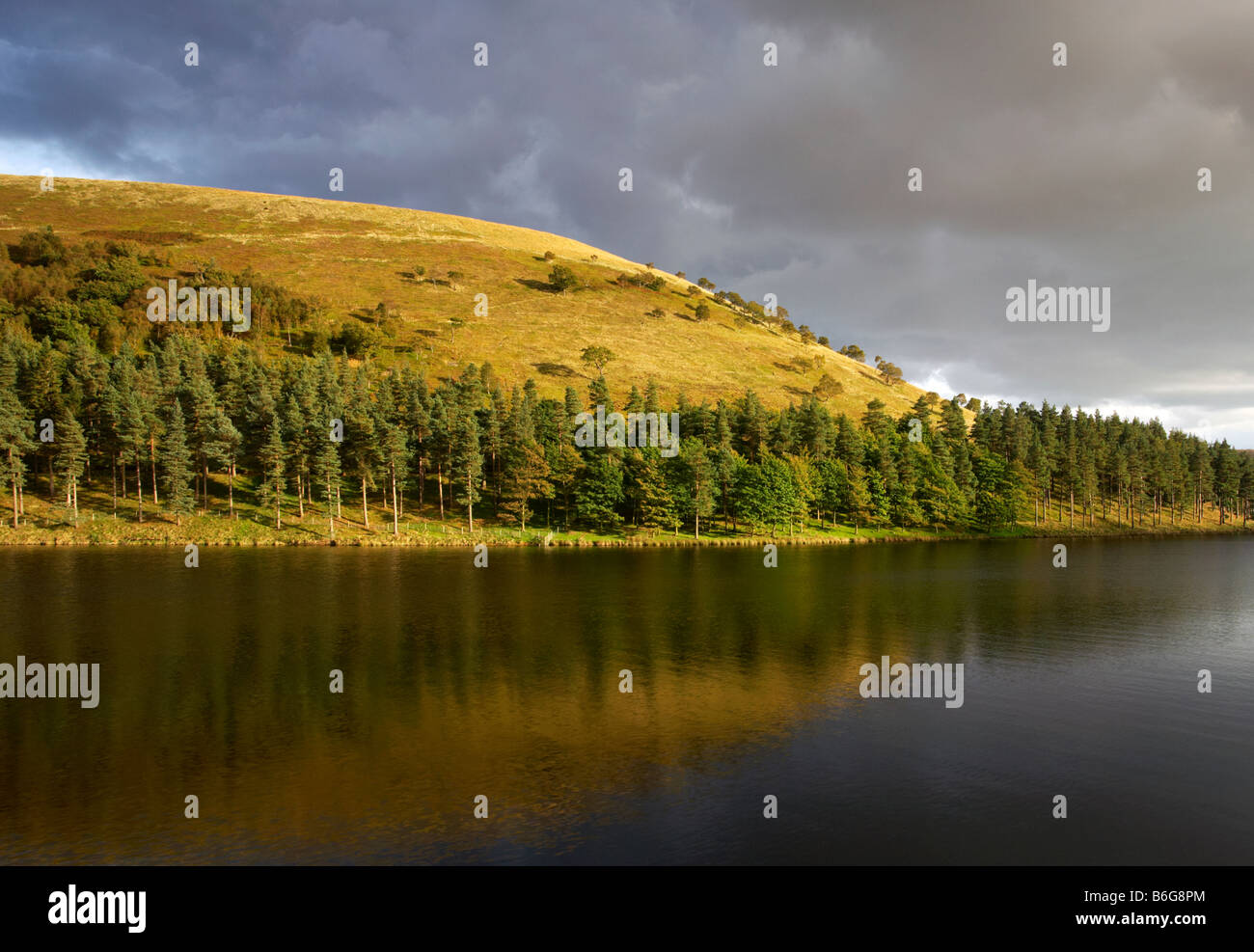 Obere Derwent Valley Derbyshire Peak District Stockfoto