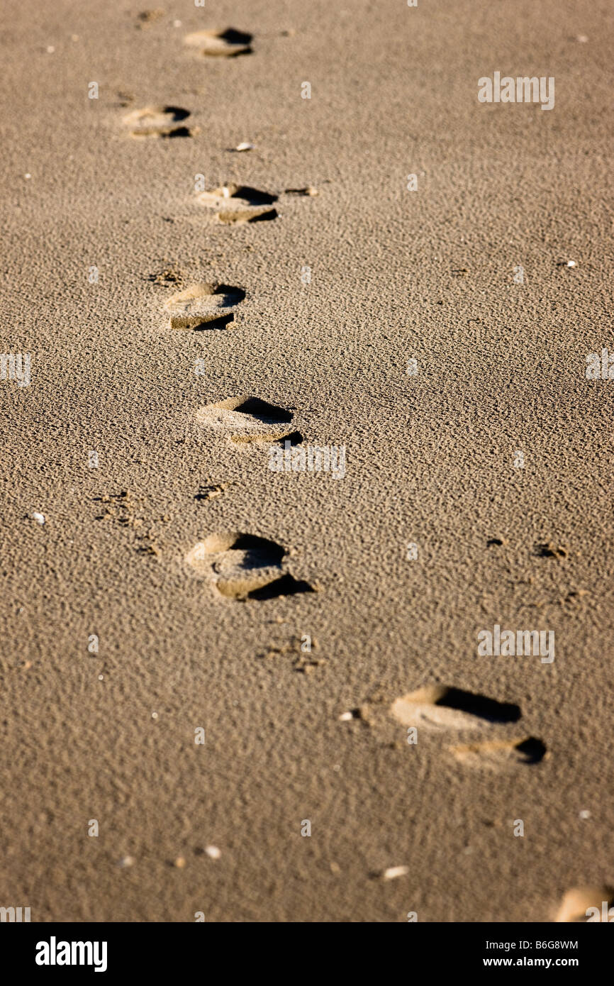 Fußabdrücke im sand -Fotos und -Bildmaterial in hoher Auflösung – Alamy