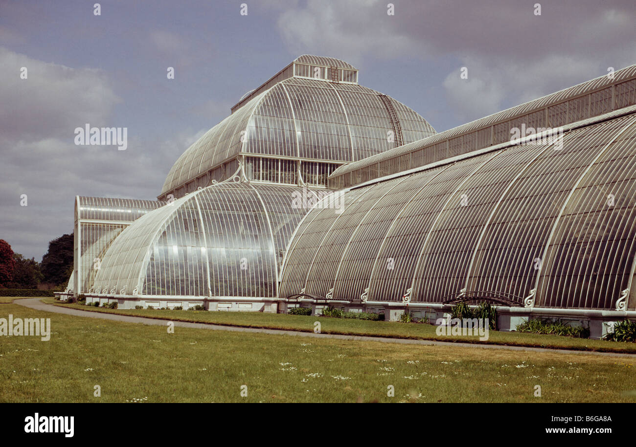 Palm House Kew Stockfoto