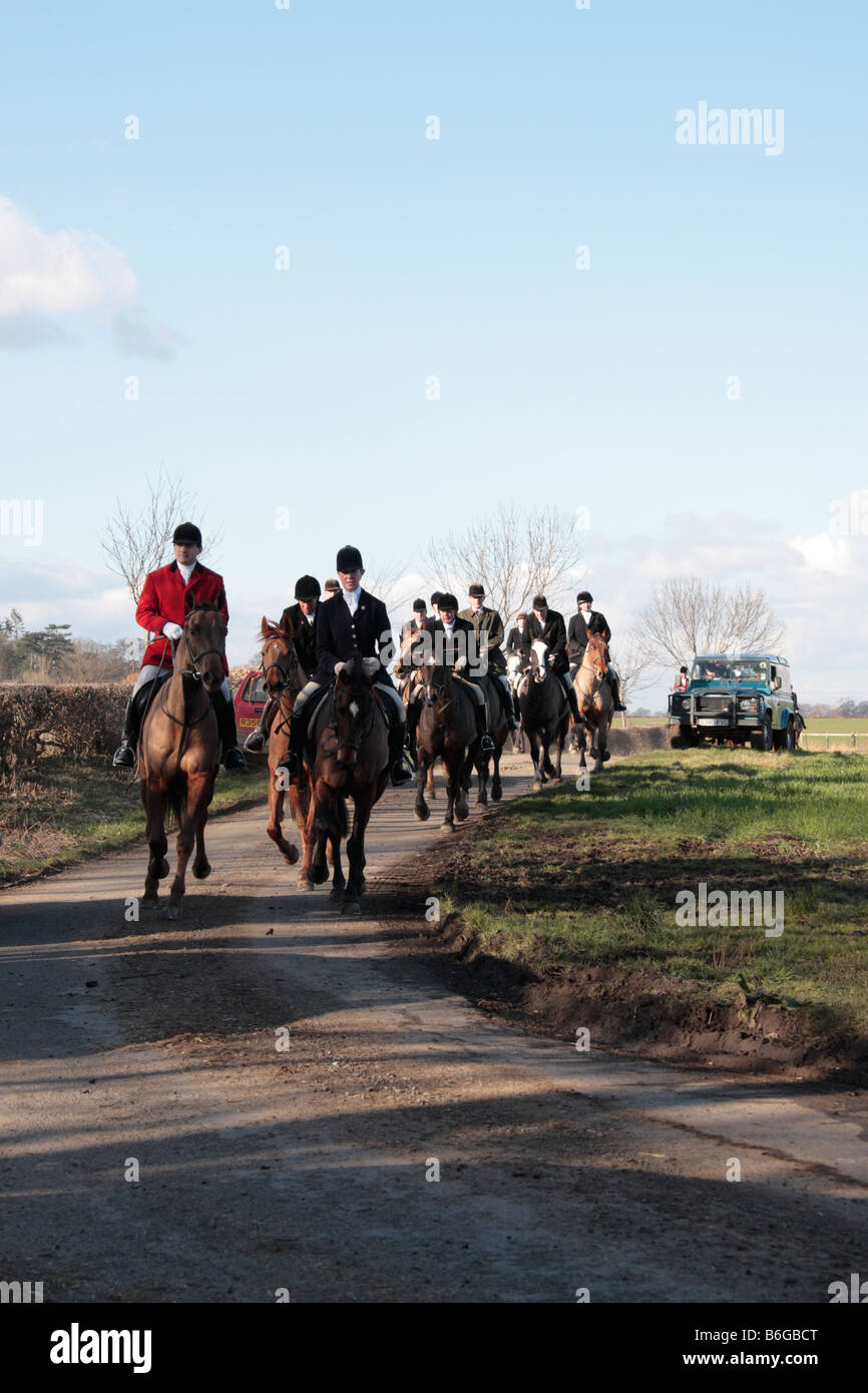 Jagd auf einem Feldweg in der Nähe von Exelby North Yorkshire England Trab Stockfoto