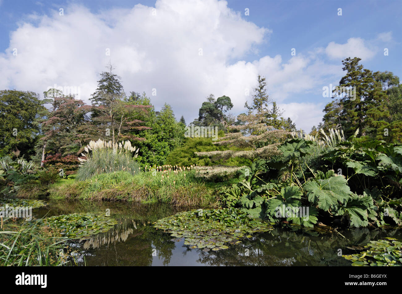 FOTA Gärten arboretum Stockfoto