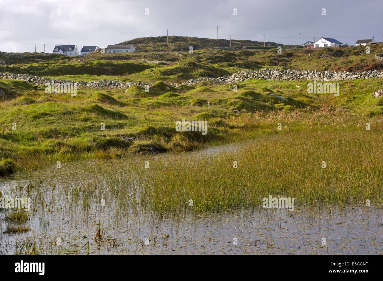 Steinige Felder und Häuser am Doonloughan, Connemara, Irland Stockfoto