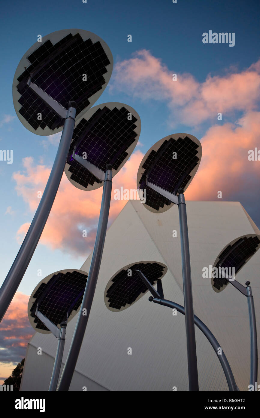 Solar-Panels wie gestaltet Mallee Bäume, Adelaide Festival Centre, Adelaide, South Australia, Australien Stockfoto