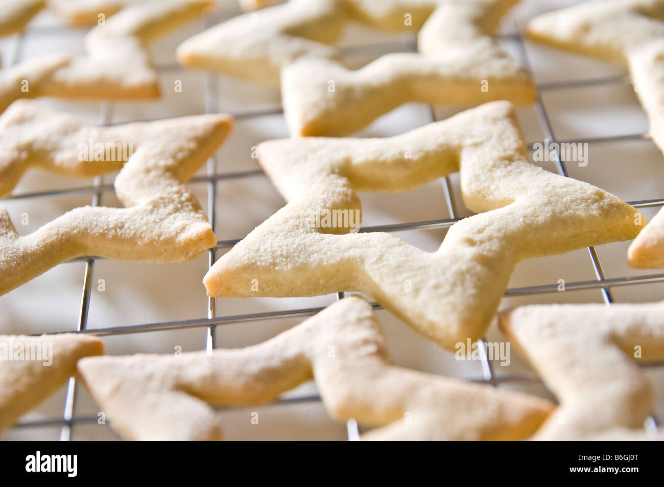 Sternförmige Ingwer Kekse gelegt auf ein Kuchengitter. Sie wurden dann in kleinen Boxen für Weihnachtsgeschenke zu packte. Stockfoto