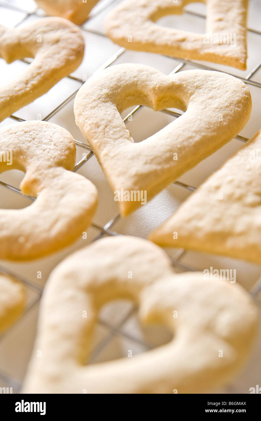 Herzförmige Ingwer Kekse auf einem Kuchengitter gelegt. Sie wurden dann in kleinen Boxen für Weihnachtsgeschenke zu packte. Stockfoto
