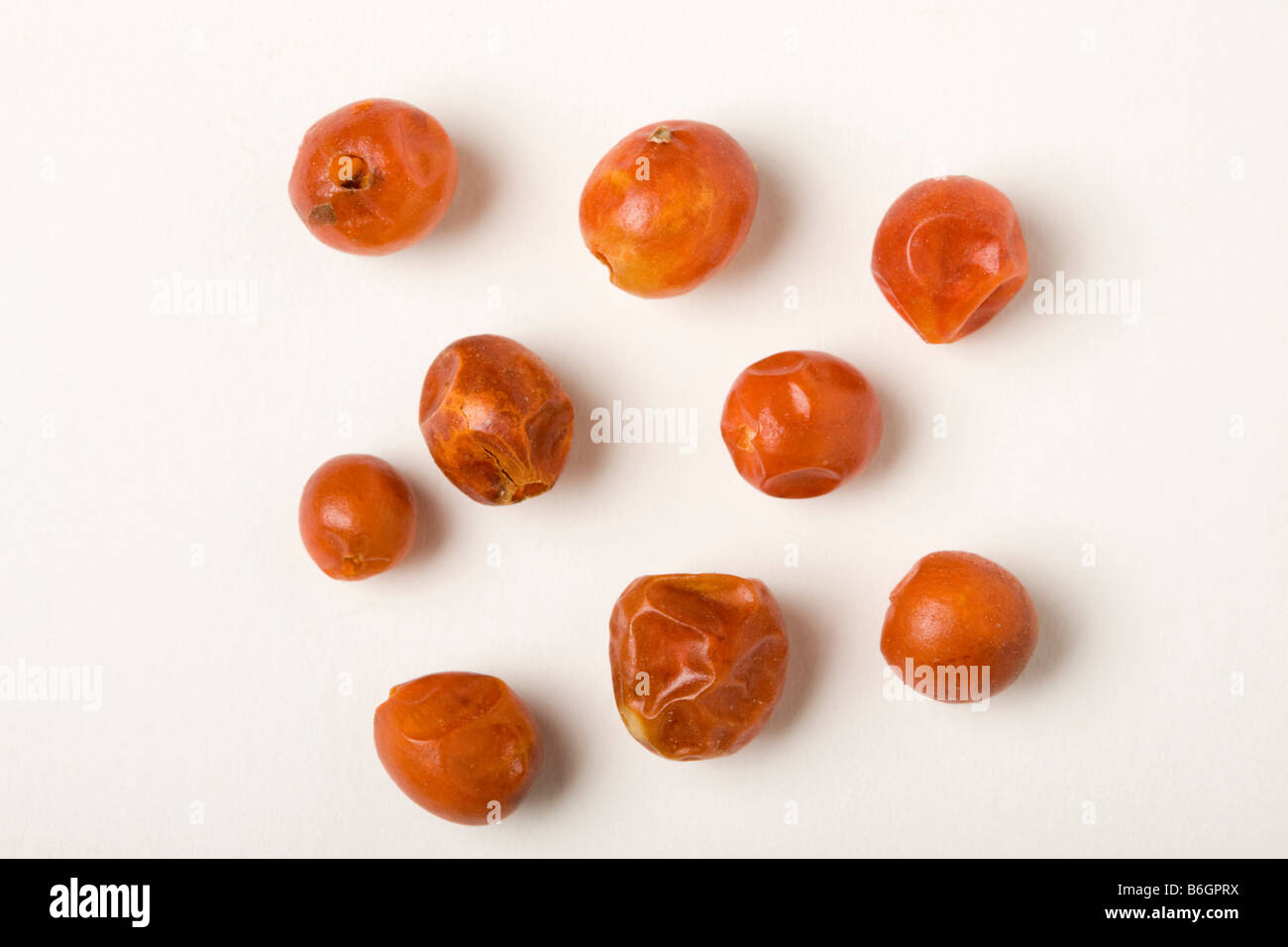 Chiltepin wilden Chili Paprika gilt als heißeste Chili der Welt Stockfoto