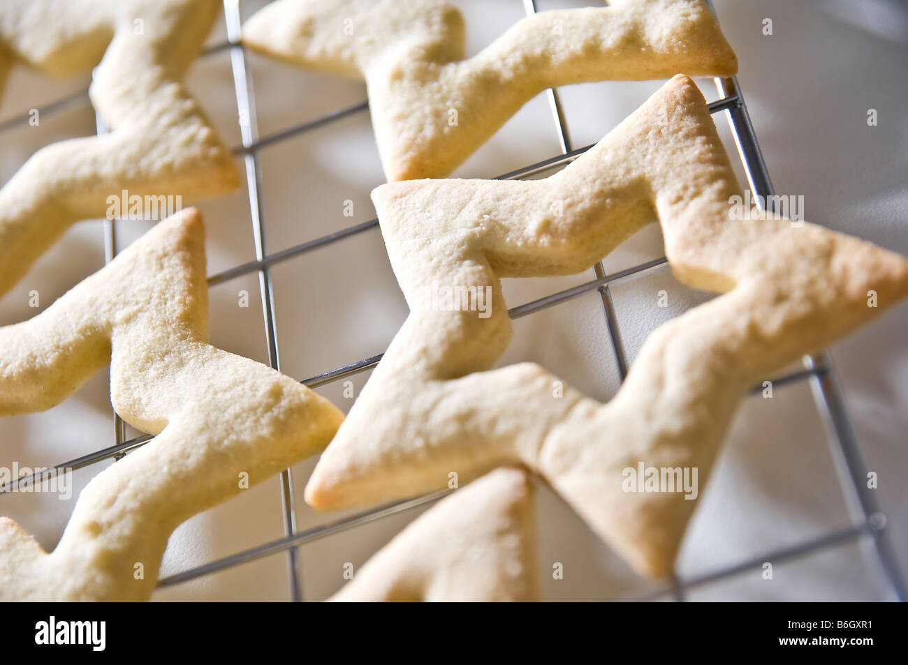 Sternförmige Ingwer Kekse gelegt auf ein Kuchengitter. Sie wurden dann in kleinen Boxen für Weihnachtsgeschenke zu packte. Stockfoto