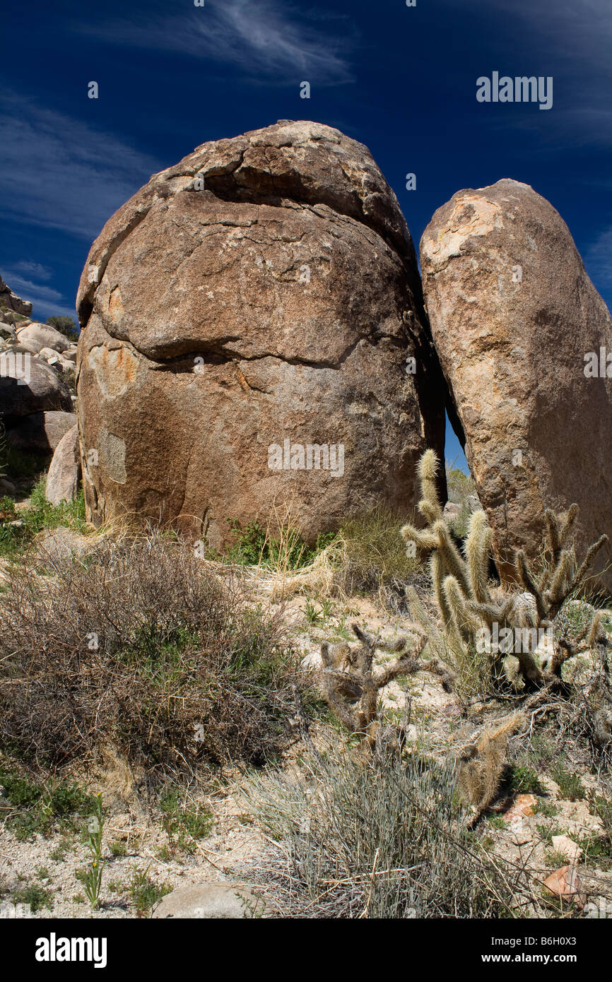 Kalifornien - schiefen Felsen auf Morteros Campingplatz von frühen Indianer in der Nähe von Blair-Tal im Anza Borrego Desert verwendet. Stockfoto