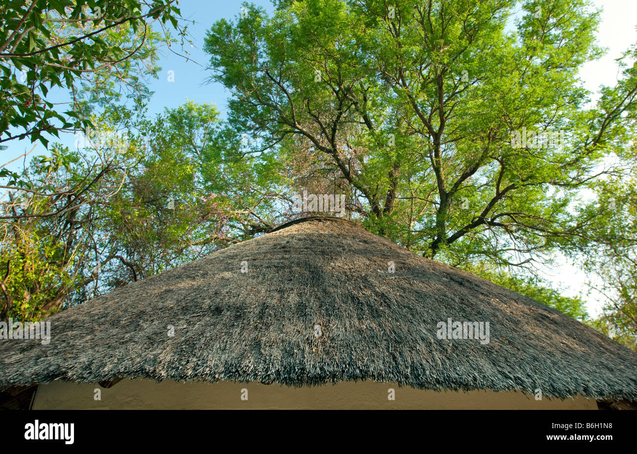 Südafrika Dach Gewölbe Dach gefliest strohgedeckten mit Strohhütte Runde traditionellen Hütten Stroh bedeckt Strawhouse Ebene einfach sparsam Stockfoto