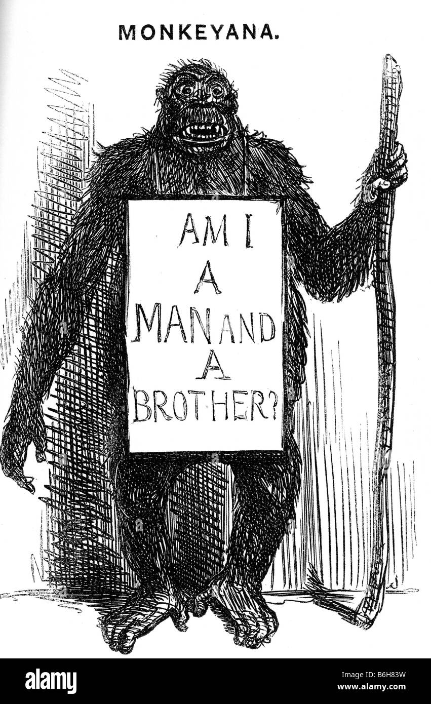 CHARLES DARWIN satirische Punch Cartoon 1861 mit einem Spiel von Formulierungen in der Anti-Sklaverei-Kampagne Stockfoto