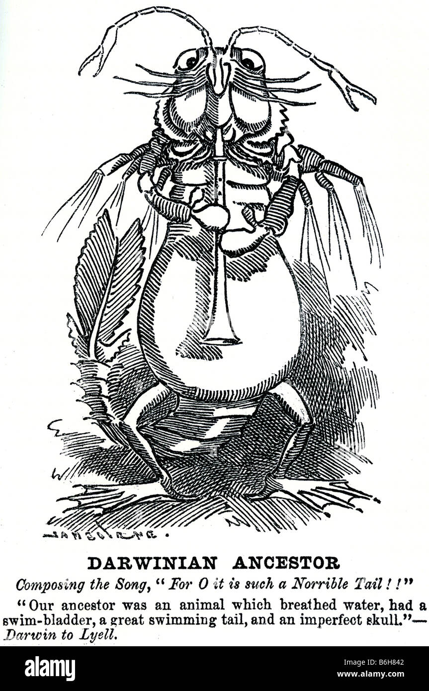 CHARLES DARWIN-Karikatur aus dem Punch-Magazin im Jahre 1887 Stockfoto