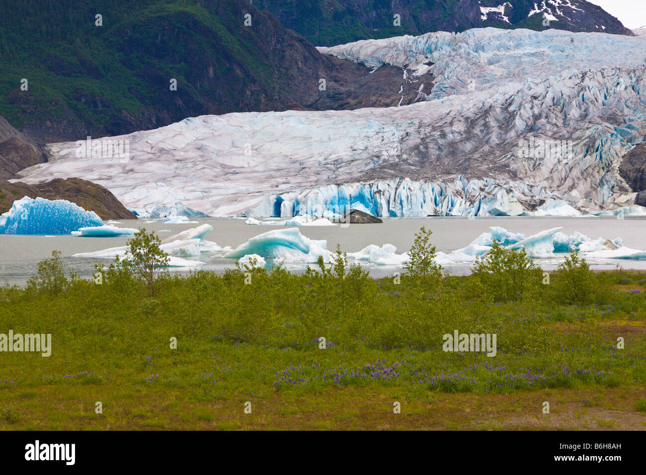 Mendenhall Gletscher Juneau Alaska USA Stockfoto
