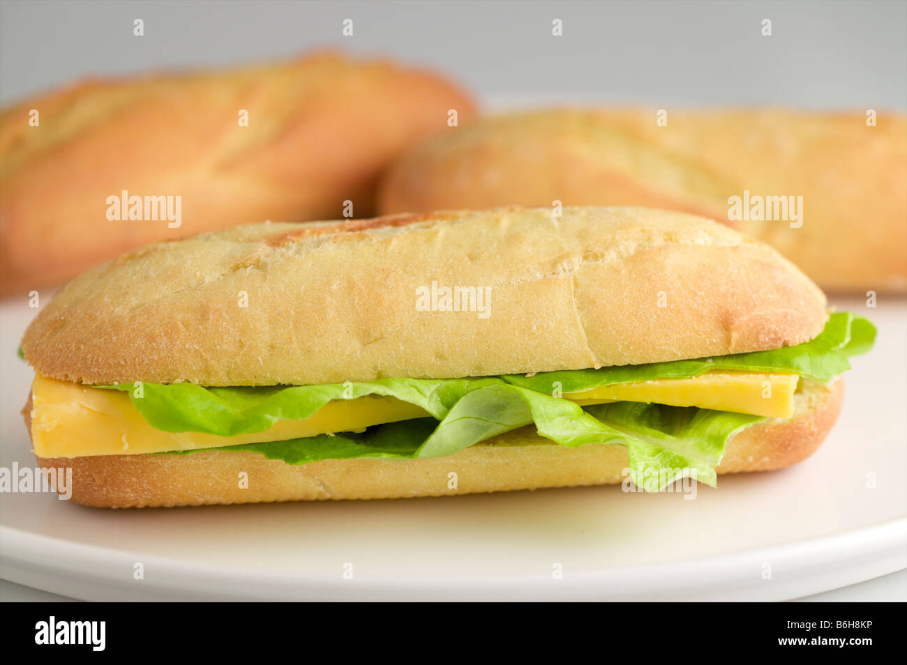 Brötchen mit Salat und Double Gloucester Käse als ein Sandwich auf einem weißen Teller und Hintergrund Stockfoto