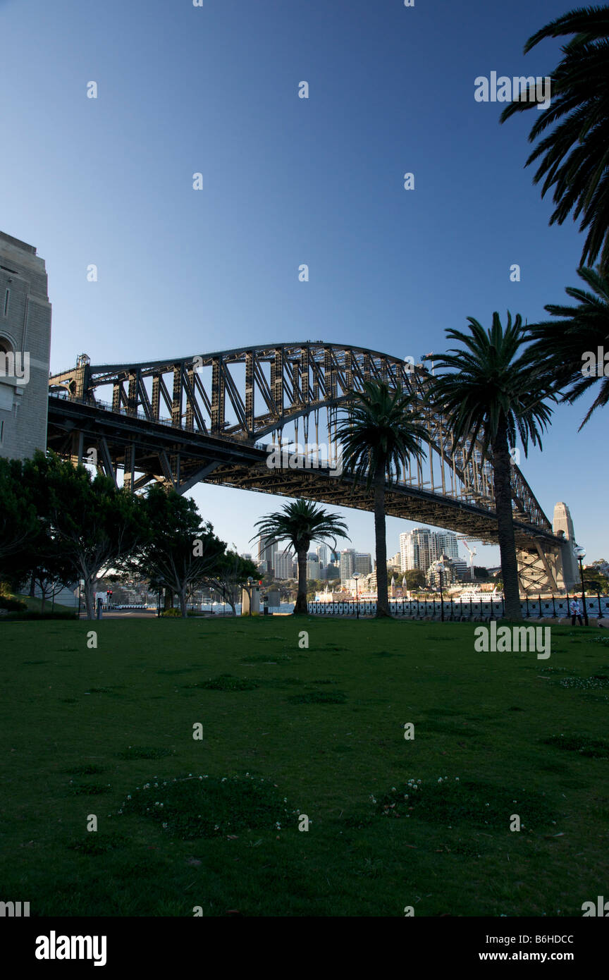 Sydney Harbour Bridge und Palmen Stockfoto