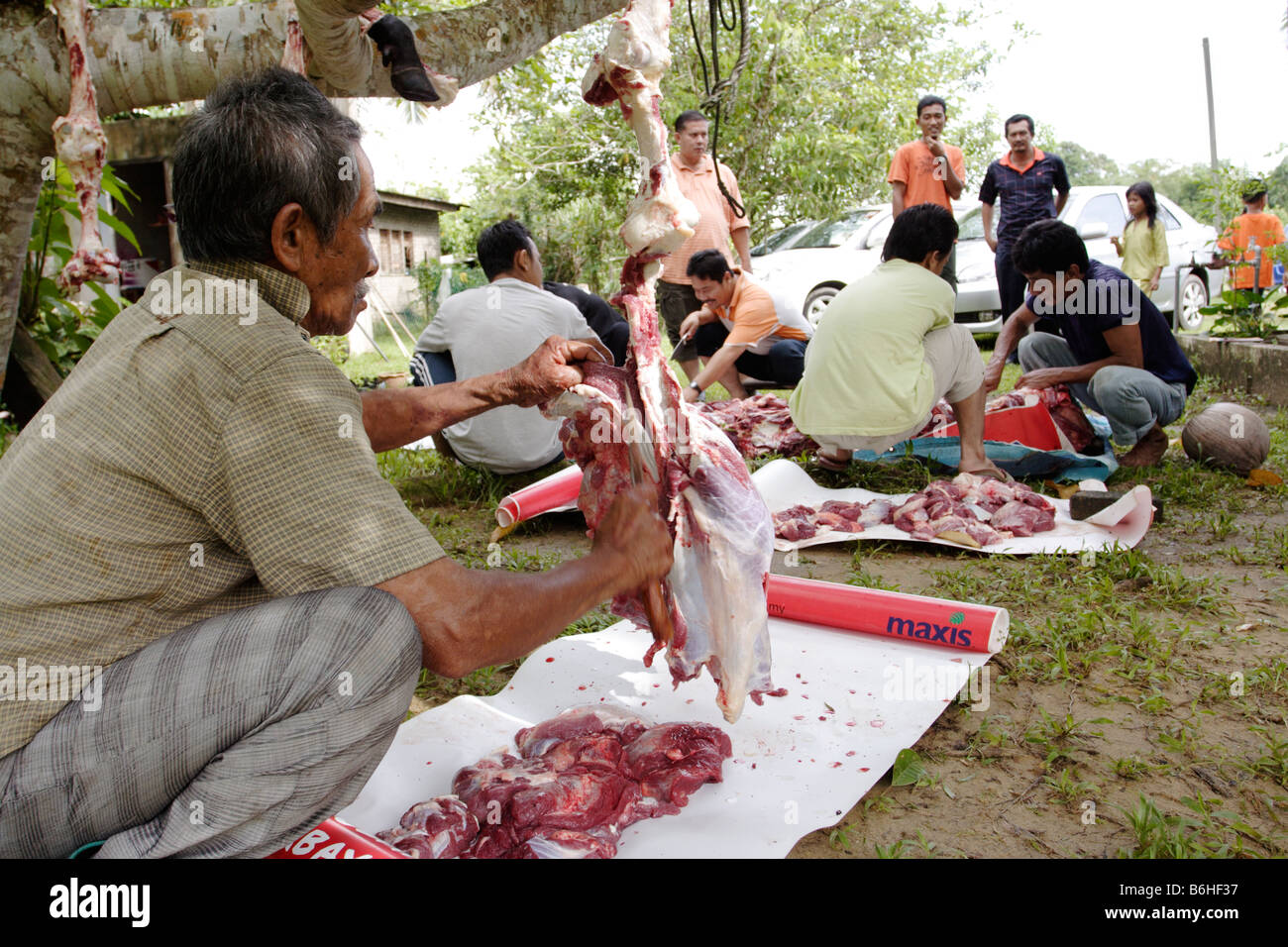 Fleisch für die Armen zu verteilen, während Aidil Adha Feier in Terengganu, Malaysia. Stockfoto